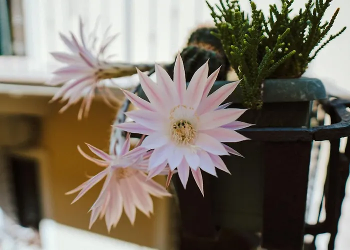 Bed & Breakfast Romeo Giulietta 4*