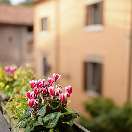 Bed and Breakfast Romeo Giulietta Βερόνα