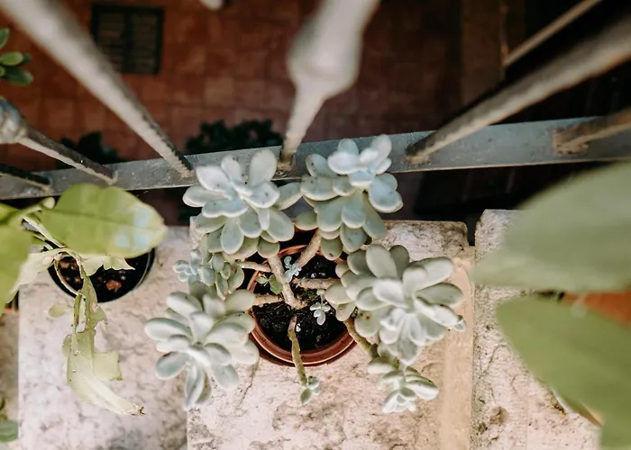 Bed & Breakfast Romeo Giulietta Verona