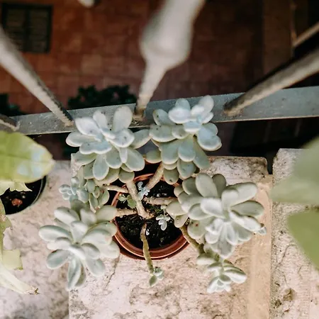 ベッド・アンド・ブレックファスト Romeo Giulietta ヴェローナ